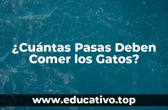 ¿Cuántas Pasas Deben Comer los Gatos?