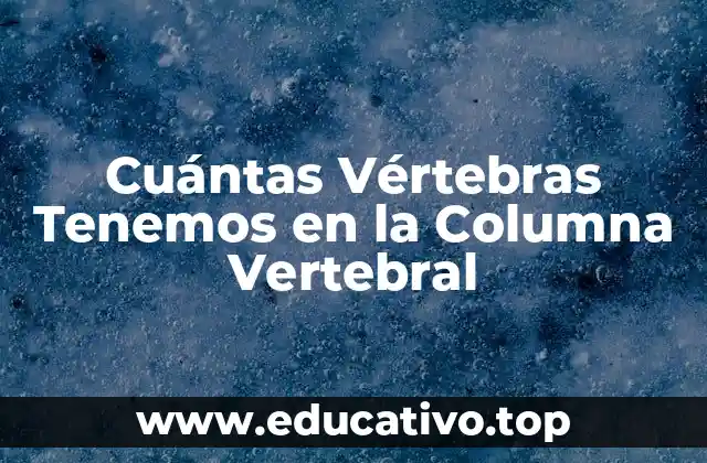 Cuántas Vértebras Tenemos en la Columna Vertebral