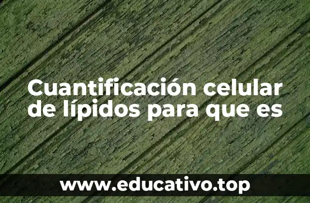 Cuantificación celular de lípidos para que es