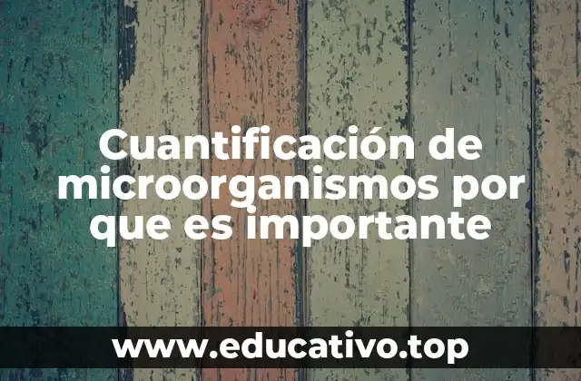 Cuantificación de microorganismos por que es importante