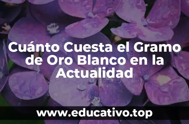 Cuánto Cuesta el Gramo de Oro Blanco en la Actualidad