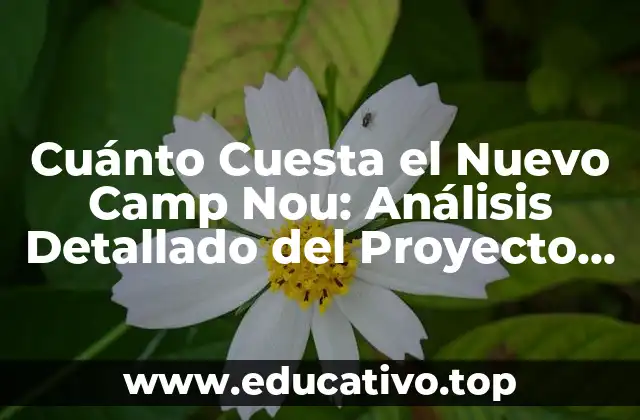 Cuánto Cuesta el Nuevo Camp Nou: Análisis Detallado del Proyecto de Reforma