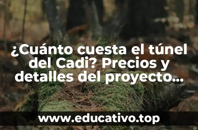 ¿Cuánto cuesta el túnel del Cadi? Precios y detalles del proyecto más ambicioso de Cataluña