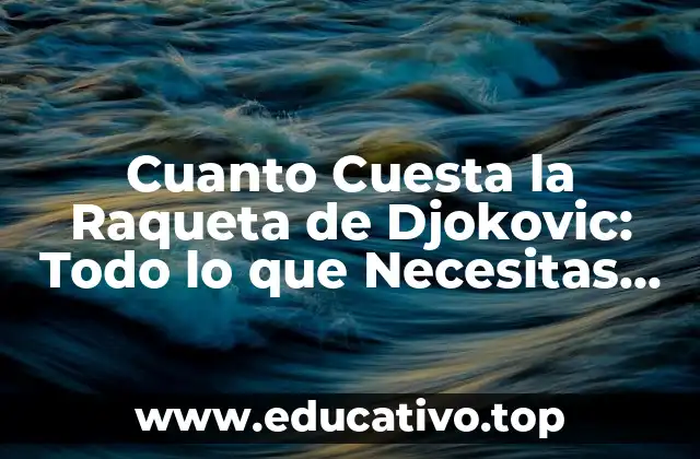 Cuanto Cuesta la Raqueta de Djokovic: Todo lo que Necesitas Saber