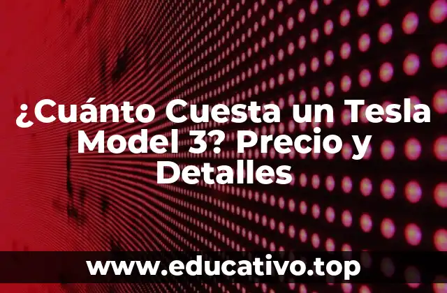 ¿Cuánto Cuesta un Tesla Model 3? Precio y Detalles
