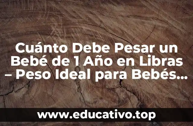 Cuánto Debe Pesar un Bebé de 1 Año en Libras – Peso Ideal para Bebés de 12 Meses