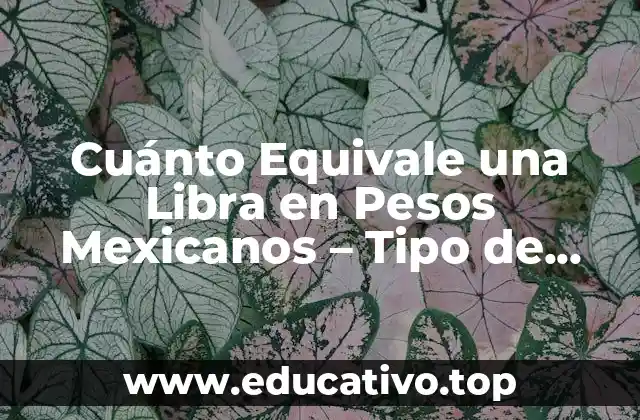 Cuánto Equivale una Libra en Pesos Mexicanos – Tipo de Cambio Actualizado
