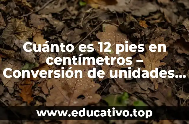 Cuánto es 12 pies en centímetros – Conversión de unidades de longitud