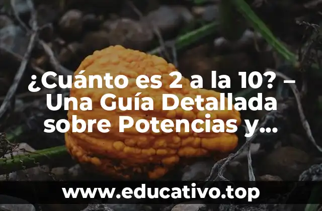 ¿Cuánto es 2 a la 10? – Una Guía Detallada sobre Potencias y Logaritmos