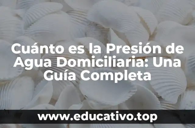 Cuánto es la Presión de Agua Domiciliaria: Una Guía Completa