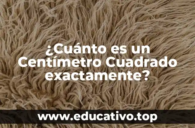 ¿Cuánto es un Centímetro Cuadrado exactamente?