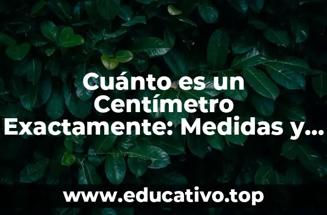 Cuánto es un Centímetro Exactamente: Medidas y Conversión