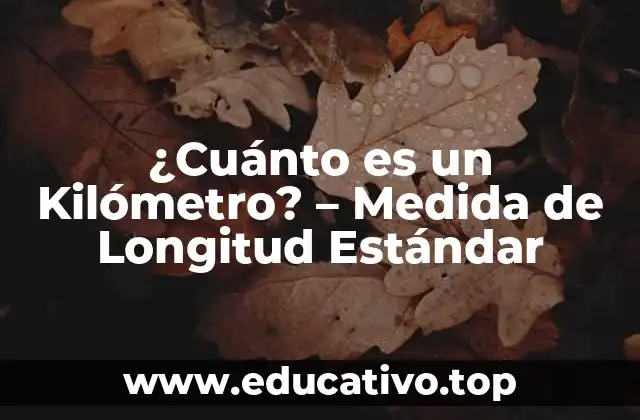 ¿Cuánto es un Kilómetro? – Medida de Longitud Estándar