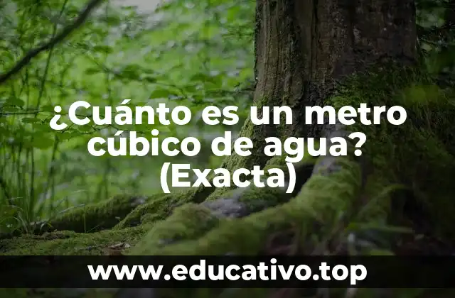 ¿Cuánto es un metro cúbico de agua? (Exacta)