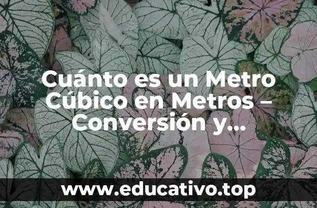 Cuánto es un Metro Cúbico en Metros – Conversión y Equivalencias