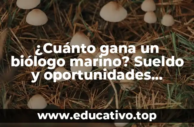 ¿Cuánto gana un biólogo marino? Sueldo y oportunidades laborales en la biología marina