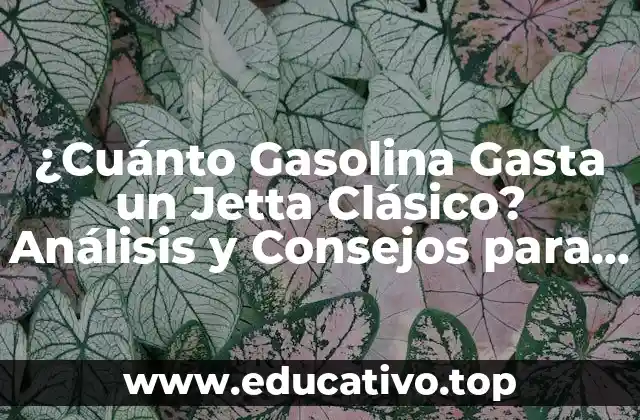 ¿Cuánto Gasolina Gasta un Jetta Clásico? Análisis y Consejos para Ahorrar Combustible