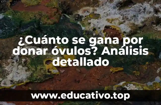 ¿Cuánto se gana por donar óvulos? Análisis detallado