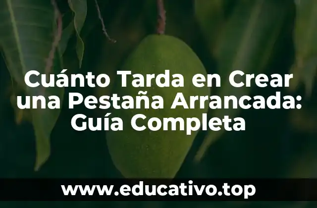 Cuánto Tarda en Crear una Pestaña Arrancada: Guía Completa