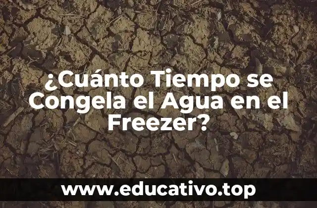 ¿Cuánto Tiempo se Congela el Agua en el Freezer?