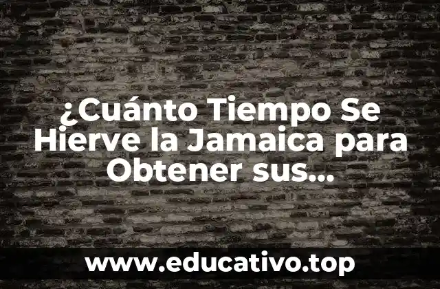 ¿Cuánto Tiempo Se Hierve la Jamaica para Obtener sus Propiedades Medicinales?