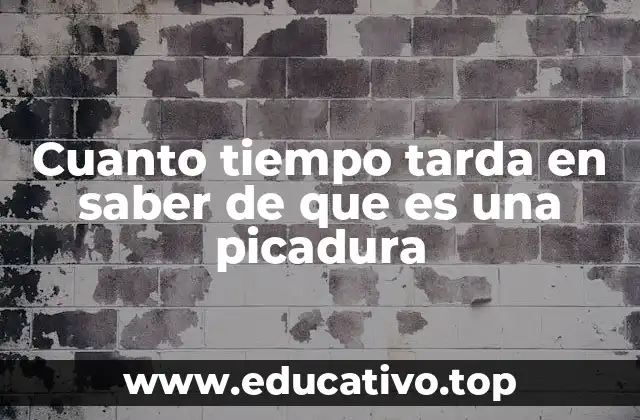 Cuanto tiempo tarda en saber de que es una picadura