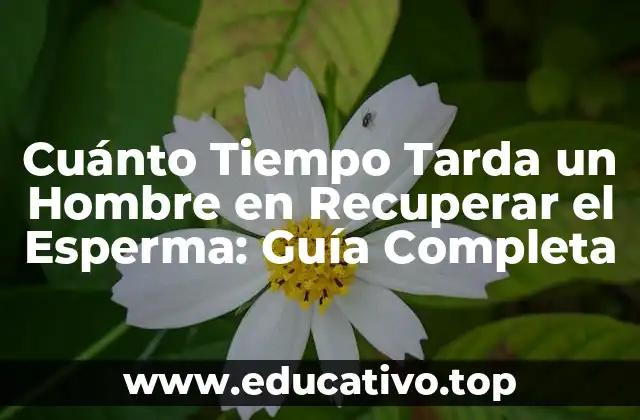 Cuánto Tiempo Tarda un Hombre en Recuperar el Esperma: Guía Completa