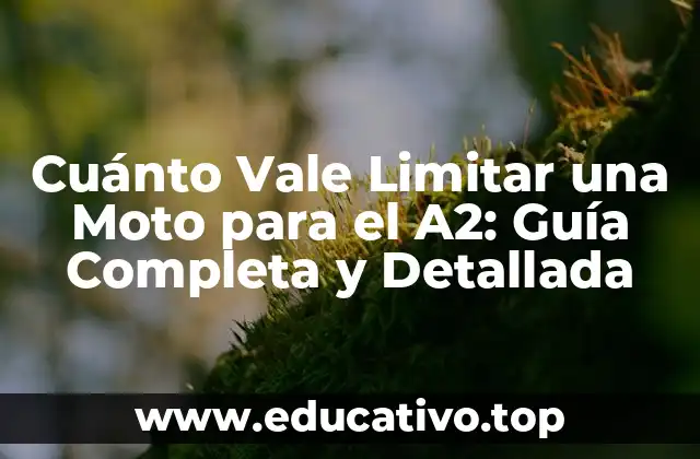 Cuánto Vale Limitar una Moto para el A2: Guía Completa y Detallada