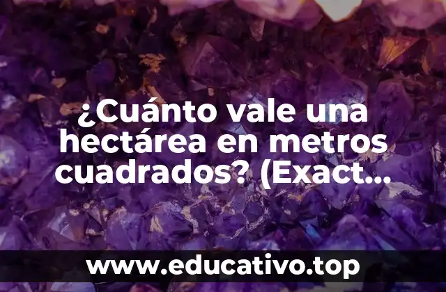 ¿Cuánto vale una hectárea en metros cuadrados? (Exact Match Keyword)