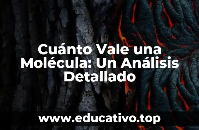 Cuánto Vale una Molécula: Un Análisis Detallado