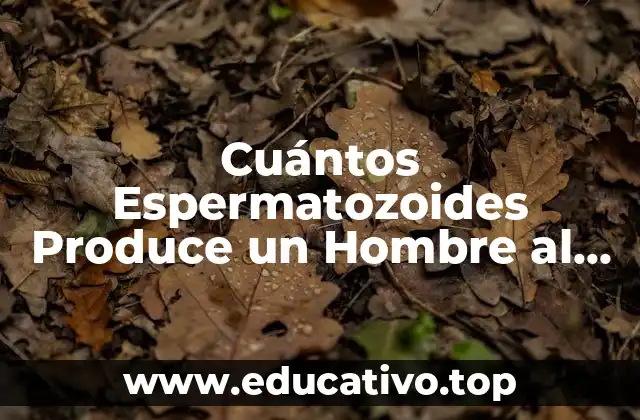 Cuántos Espermatozoides Produce un Hombre al Día: La Verdad sobre la Fertilidad
