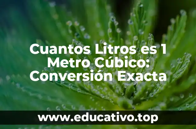 Cuantos Litros es 1 Metro Cúbico: Conversión Exacta