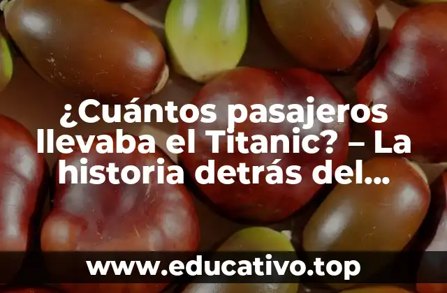 ¿Cuántos pasajeros llevaba el Titanic? – La historia detrás del naufragio más famoso