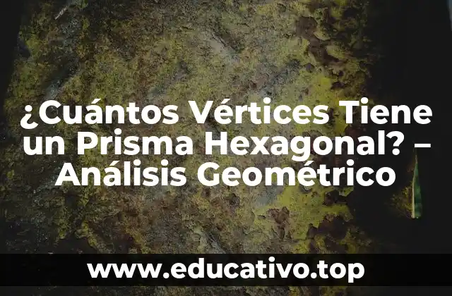 ¿Cuántos Vértices Tiene un Prisma Hexagonal? – Análisis Geométrico