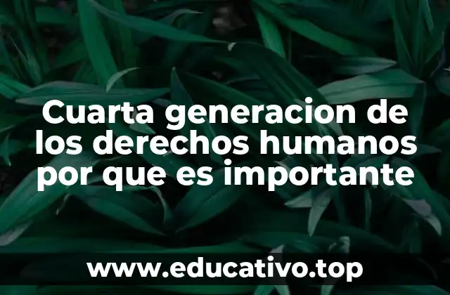 Cuarta generacion de los derechos humanos por que es importante