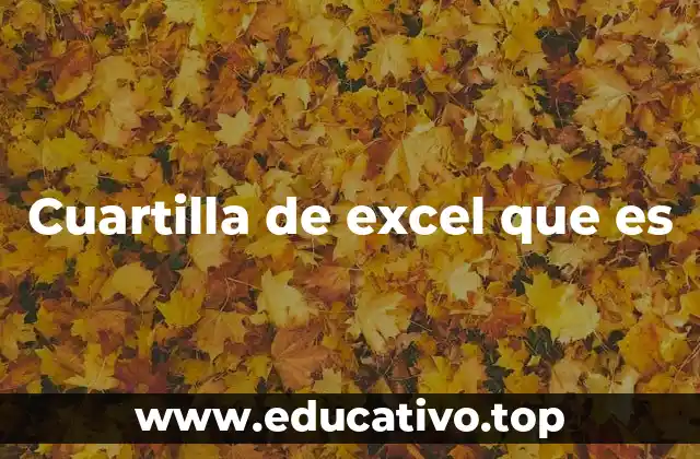 Cuartilla de excel que es