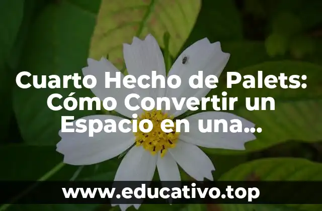 Cuarto Hecho de Palets: Cómo Convertir un Espacio en una Habitación Funcional