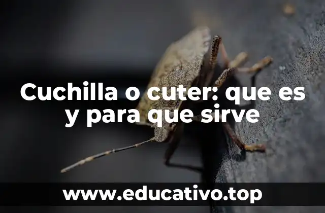 Cuchilla o cuter: que es y para que sirve