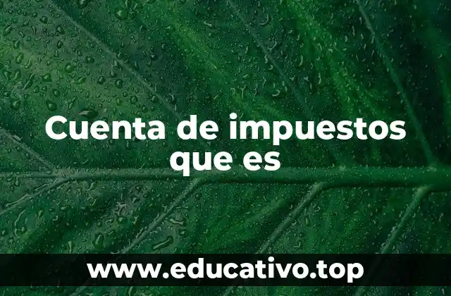 Cómo las cuentas de impuestos ayudan en la planificación financiera