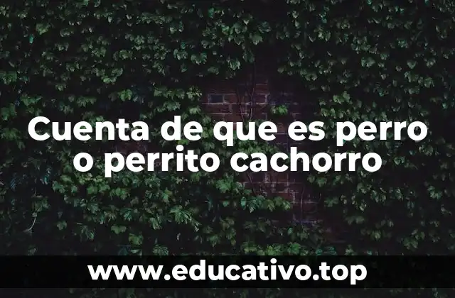 Cuenta de que es perro o perrito cachorro