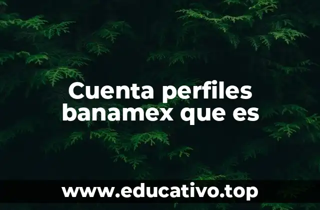 Cuenta perfiles banamex que es