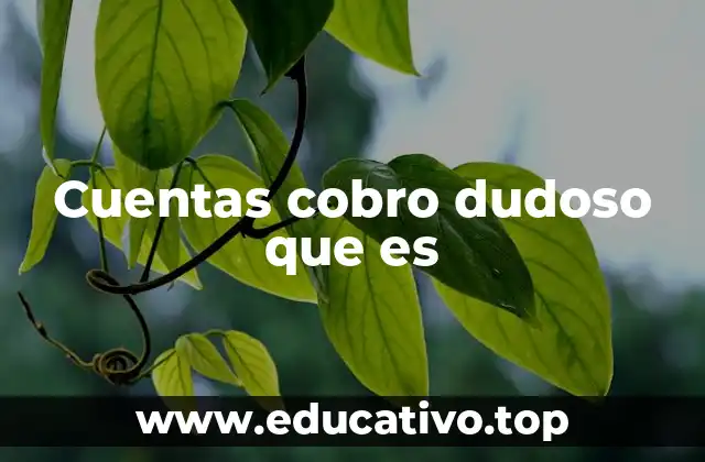 Cuentas cobro dudoso que es