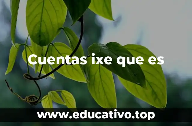 Cuentas ixe que es