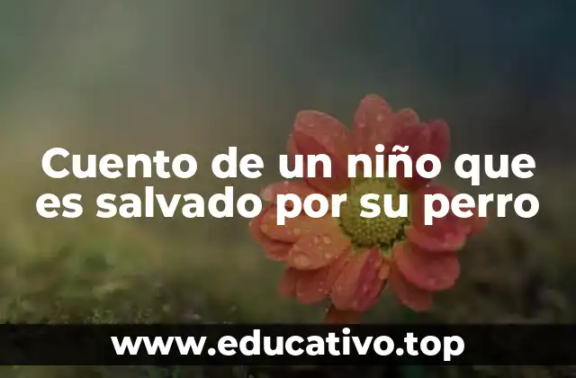 Cuento de un niño que es salvado por su perro