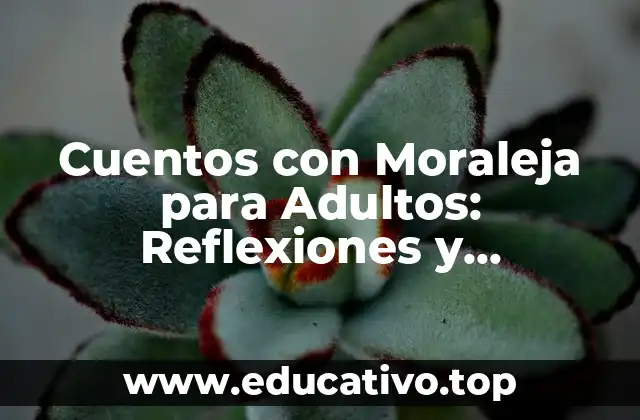 Cuentos con Moraleja para Adultos: Reflexiones y Enseñanzas Valiosas