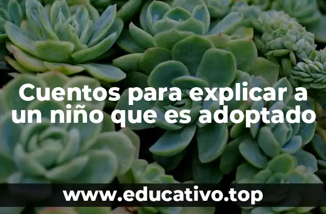 Cuentos para explicar a un niño que es adoptado