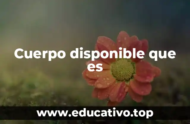 Cuerpo disponible que es