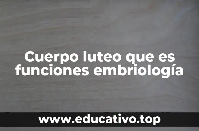 Cuerpo luteo que es funciones embriología