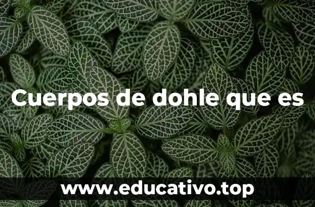 Cuerpos de dohle que es