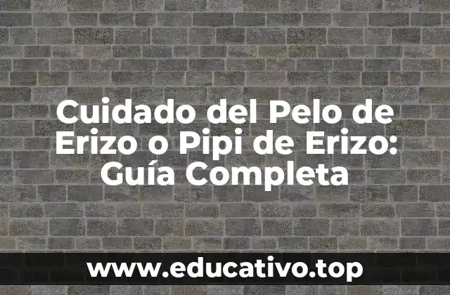 Cuidado del Pelo de Erizo o Pipi de Erizo: Guía Completa